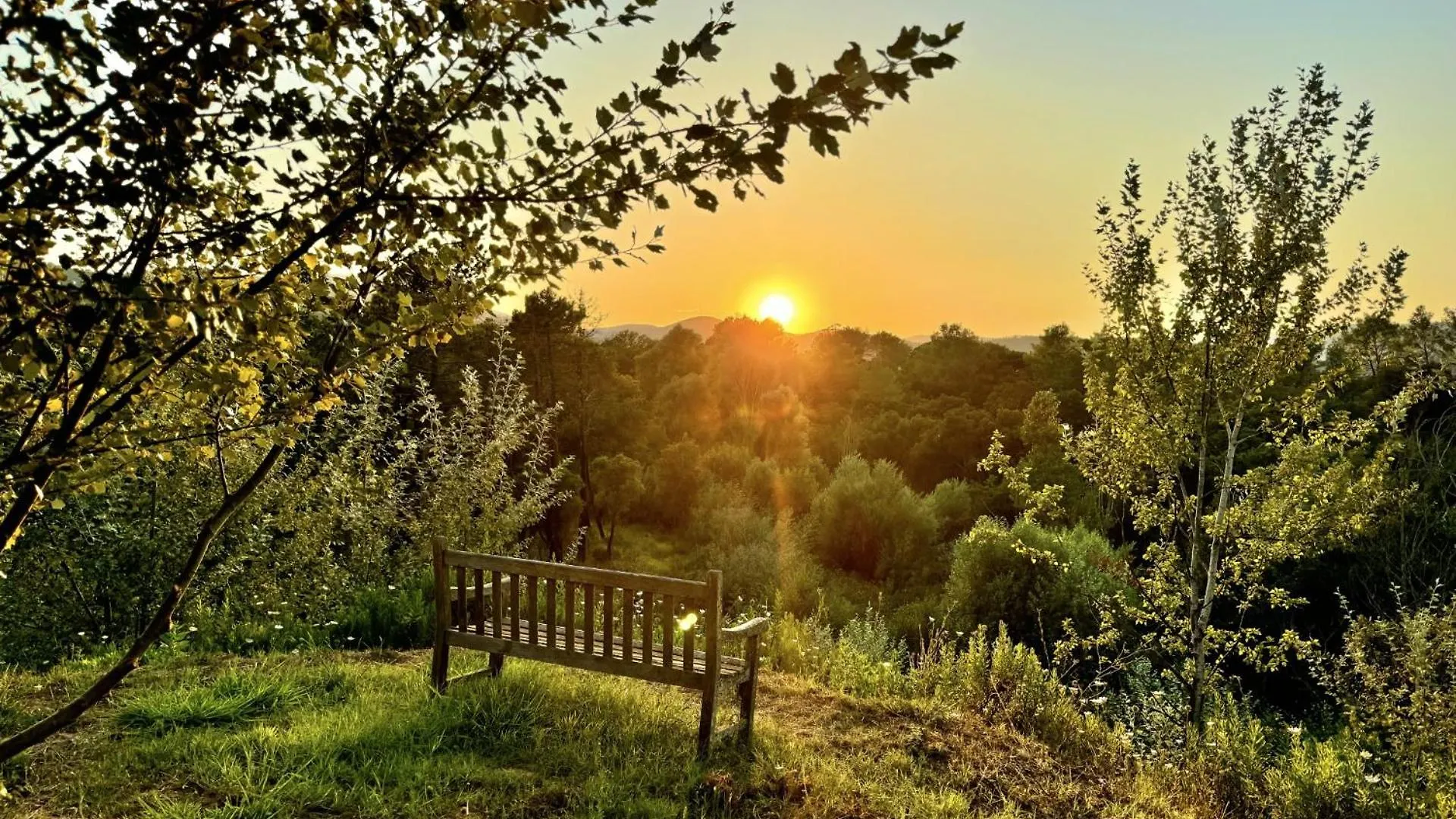 Villa La Source 83 - Room Close To St Tropez Cogolin